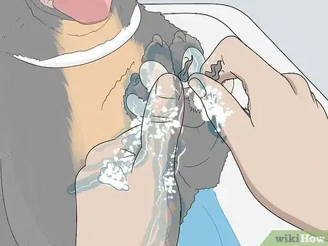 Image titled Wash a Dog's Paws Step 6