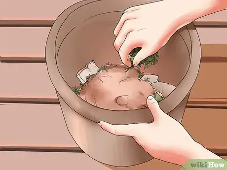 Image titled Grow Clematis in Pots Step 7