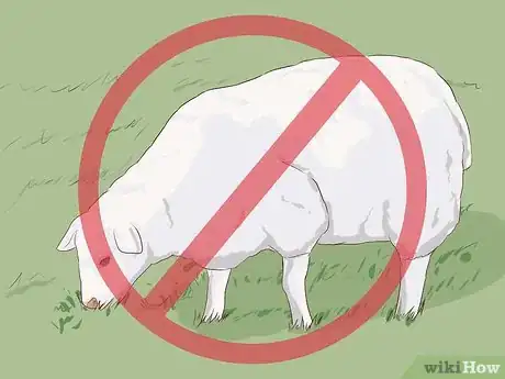 Image titled Drench Sheep Step 16