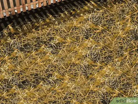 Image titled Grow Grass from Seeds Step 2