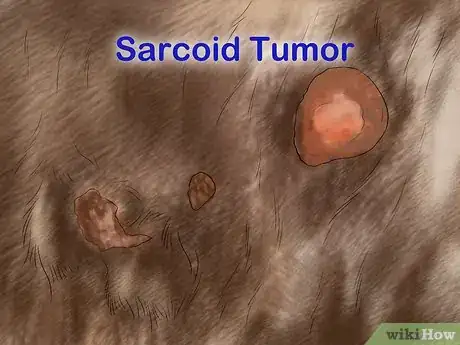 Image titled Treat Skin Disorders in Horses Step 11