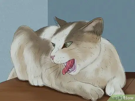 Image titled Detect Common Signs of Illness in Cats Step 4