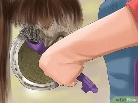 Image titled Care for Your Horse In the Winter Step 24