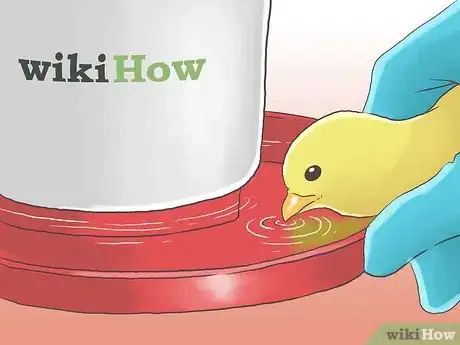 Image titled Raise Chickens for Eggs Step 15