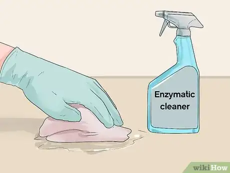 Image titled House Train Your Dog in Less than a Week Step 13