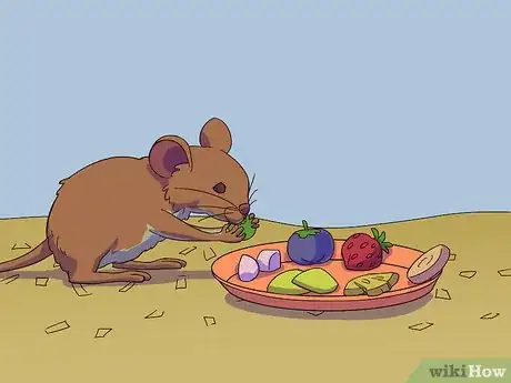 Image titled Feed a Gerbil Step 8