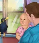 Care for Mynah Birds