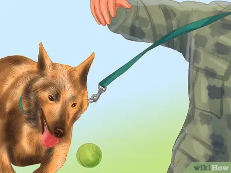 Image titled Buy a Personal Protection Dog Step 5