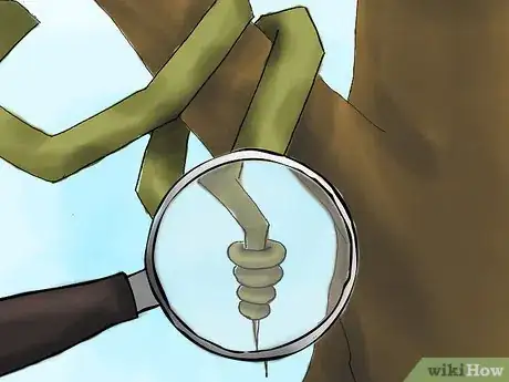 Image titled Trap a Snake Step 01