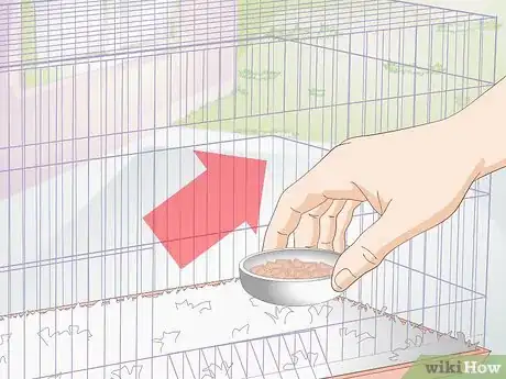 Image titled Clean Out a Guinea Pig's Hutch Step 3