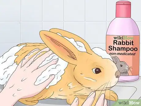 Image titled Treat Diarrhea in Rabbits Step 13