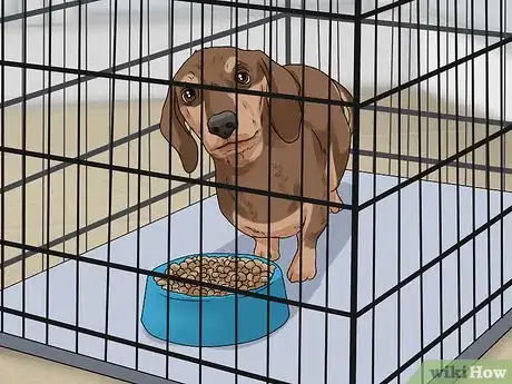 Image titled Crate Train Dachshunds Step 5