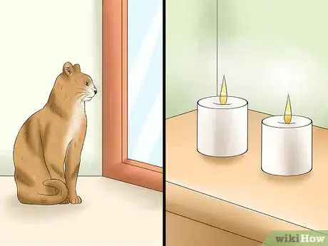 Image titled Protect Your Cat from Holiday Hazards Step 12