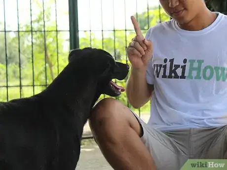 Image titled Tame Your Dog Step 5