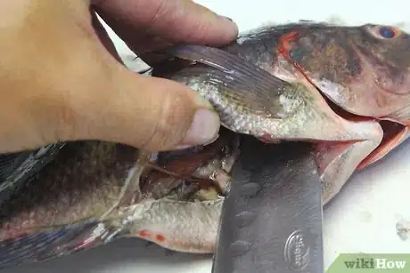 Image titled Cook or Grill a Whole Fish Step 2
