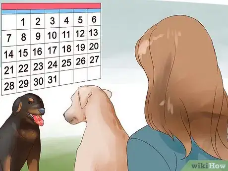 Image titled Get Used to Dogs Step 11