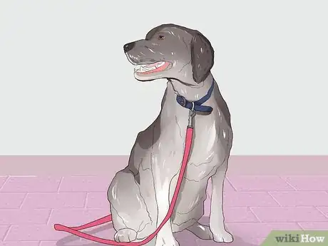 Image titled Dine Out with Your Dog Step 10
