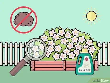 Image titled Grow Weigela Step 12