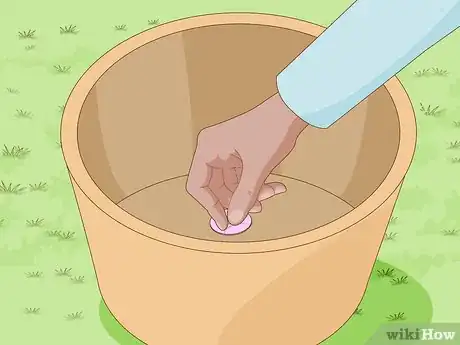 Image titled Plant Rice Indoors Step 5