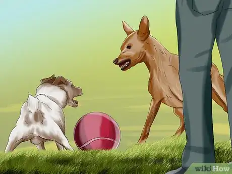 Image titled Introduce a Puppy to a Dog Step 5