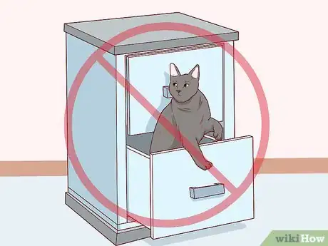 Image titled Take Care of a Chartreux Cat Step 13
