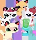 Make a Littlest Pet Shop Fashion Show