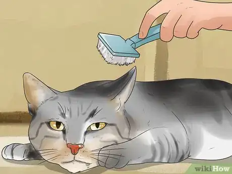 Image titled Help Your Cat Enjoy Having a Bath Step 13