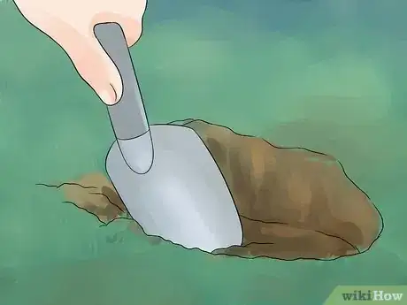 Image titled Grow an Apple Tree Step 10