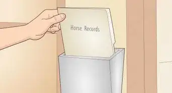 Look After a Horse