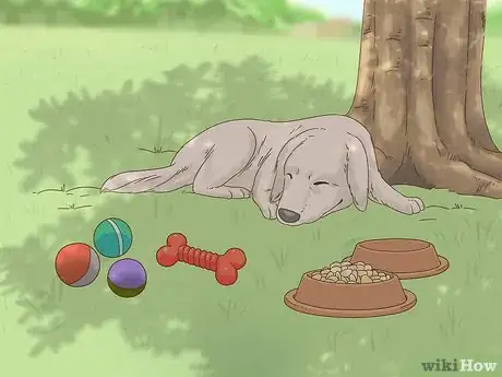 Image titled Keep Dogs Out of Gardens Step 9