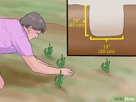 Image titled Design a Desert Garden Step 11