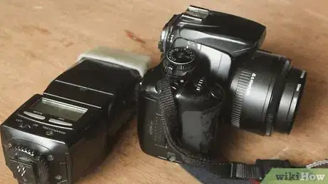 Image titled Make Cute Pictures of Your Hamster Step 5