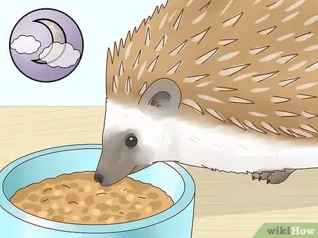 Image titled Take Care of a Hedgehog Step 16