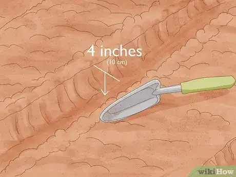 Image titled Grow Irish Potatoes Step 6