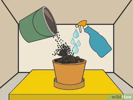 Image titled Plant Forget Me Not Seeds Step 07