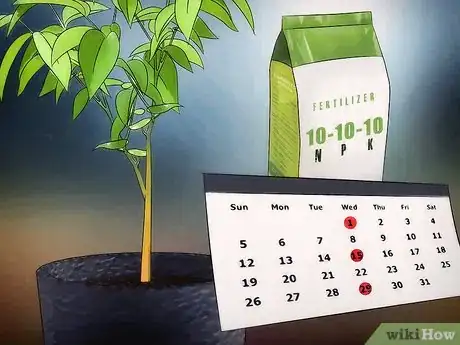 Image titled Grow Fruit in Pots Step 7