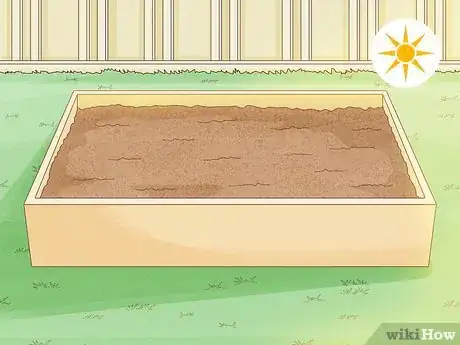 Image titled Grow Stock Flowers Step 1