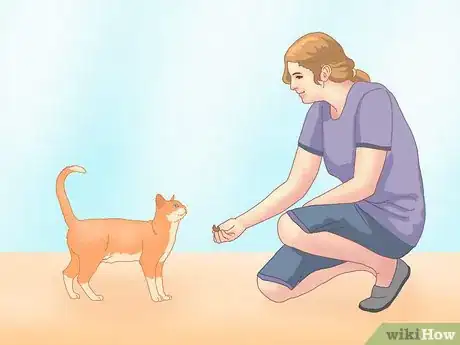 Image titled Get a Cat to Roll Over Step 1