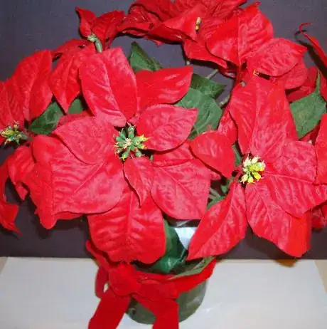 Image titled Observe your subject