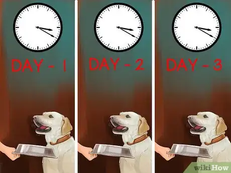 Image titled Show Affection to an Older Dog Step 11