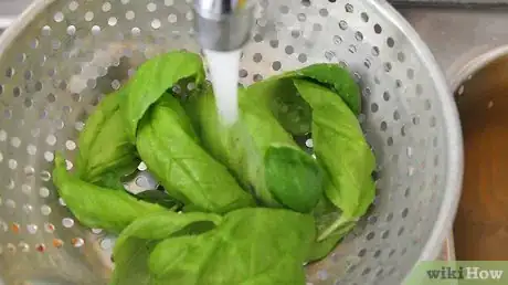 Image titled Freeze and Preserve Herbs in Olive Oil Step 2
