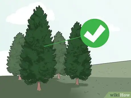 Image titled Decorate a Living Room for Christmas Step 1