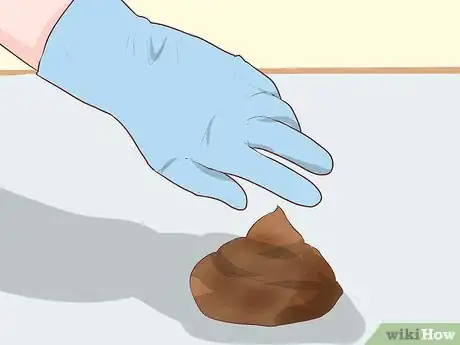 Image titled Prevent a Campylobacter Infection Step 9