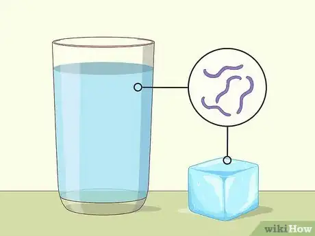 Image titled Treat Campylobacter Step 4