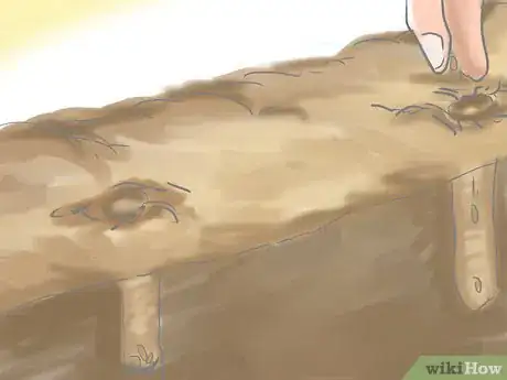 Image titled Grow Butterfly Weed Step 5