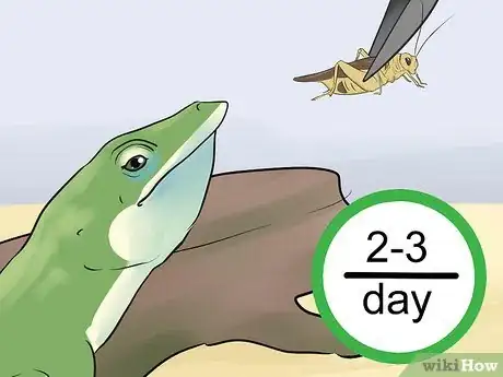 Image titled Feed an Anole Green Lizard Step 7