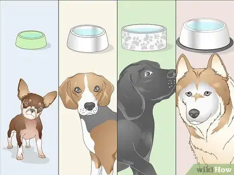Image titled Keep a Dog Hydrated Step 1