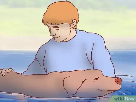 Image titled Strengthen an Older Dog's Immune System Step 9