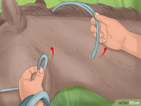 Image titled Prepare to Ride a Horse Step 12