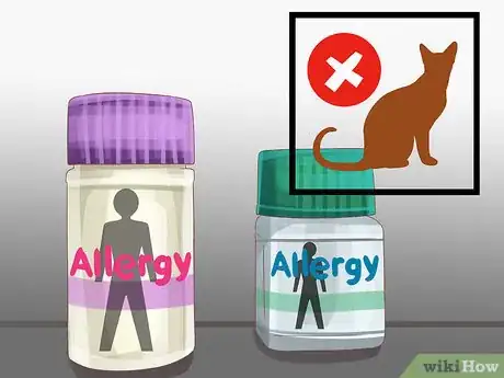 Image titled Diagnose Seasonal Allergies in Cats Step 16